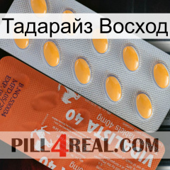 Тадарайз Восход 43